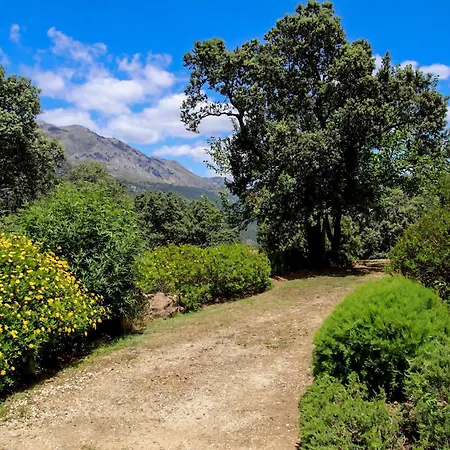 Villa Living4malaga Rurales Grazalema *